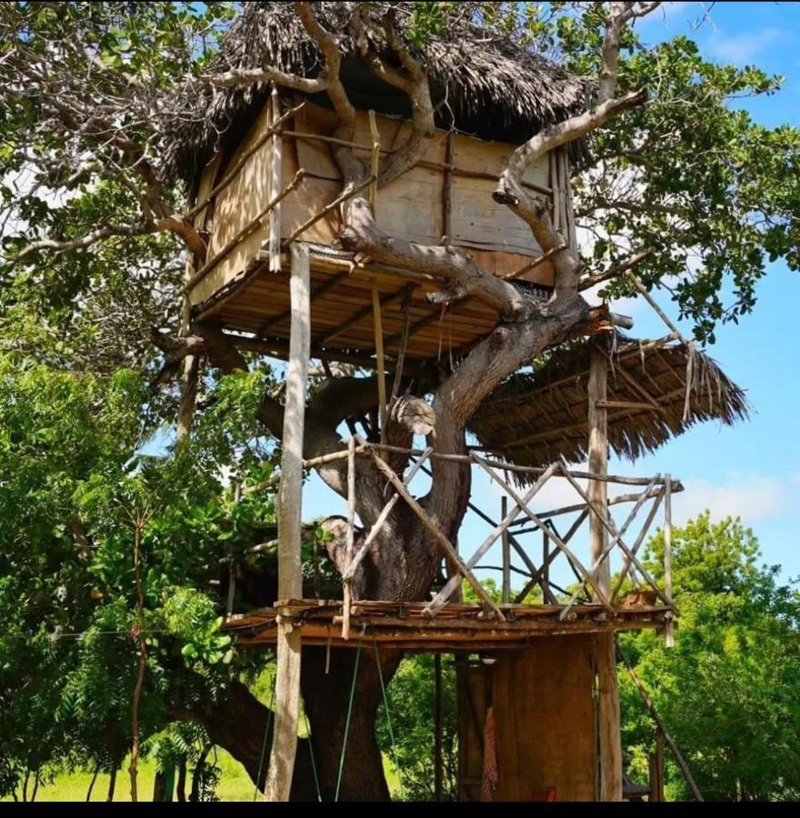 Mida Creek Nature Camp Watamu Exteriör bild