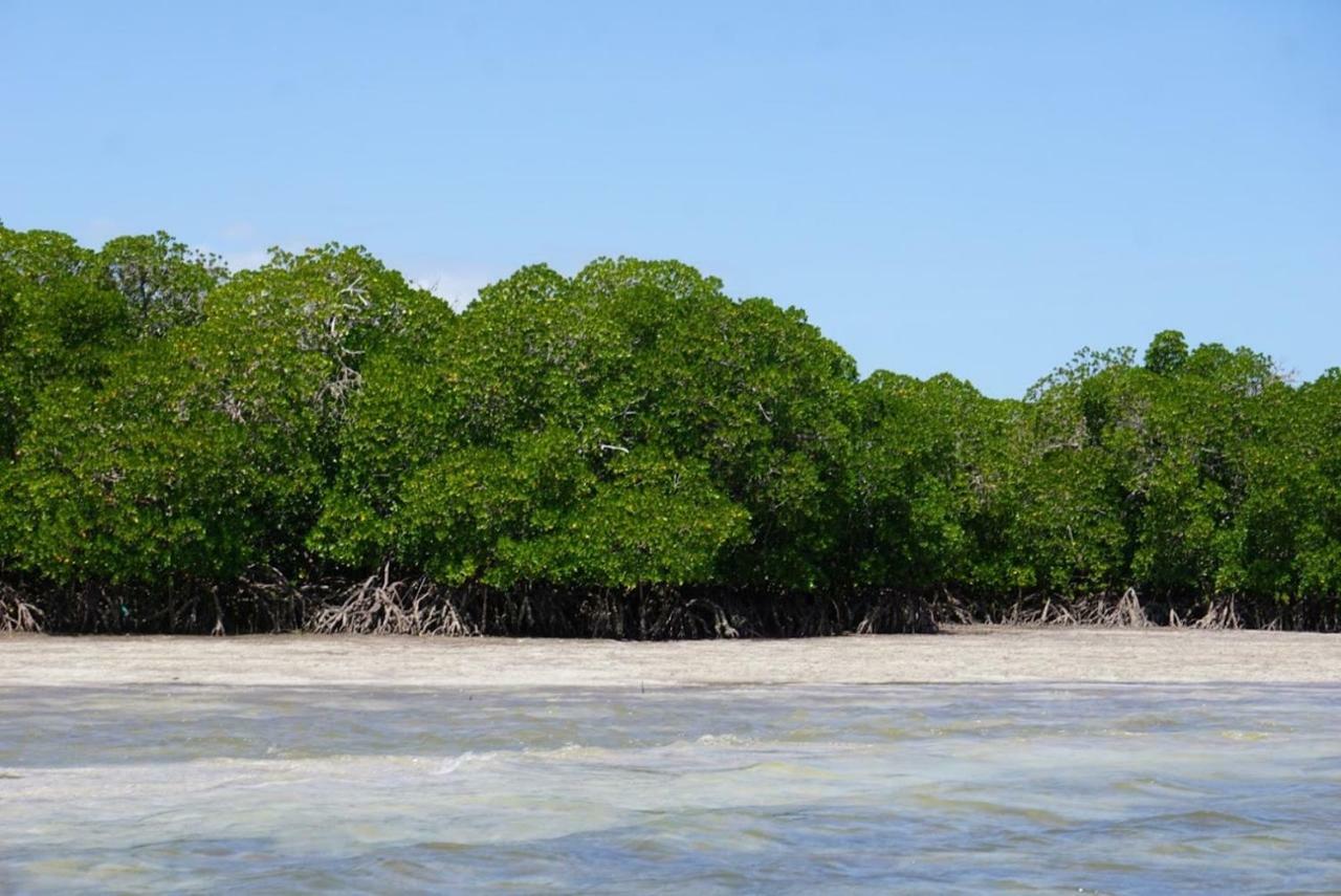 Mida Creek Nature Camp Watamu Exteriör bild