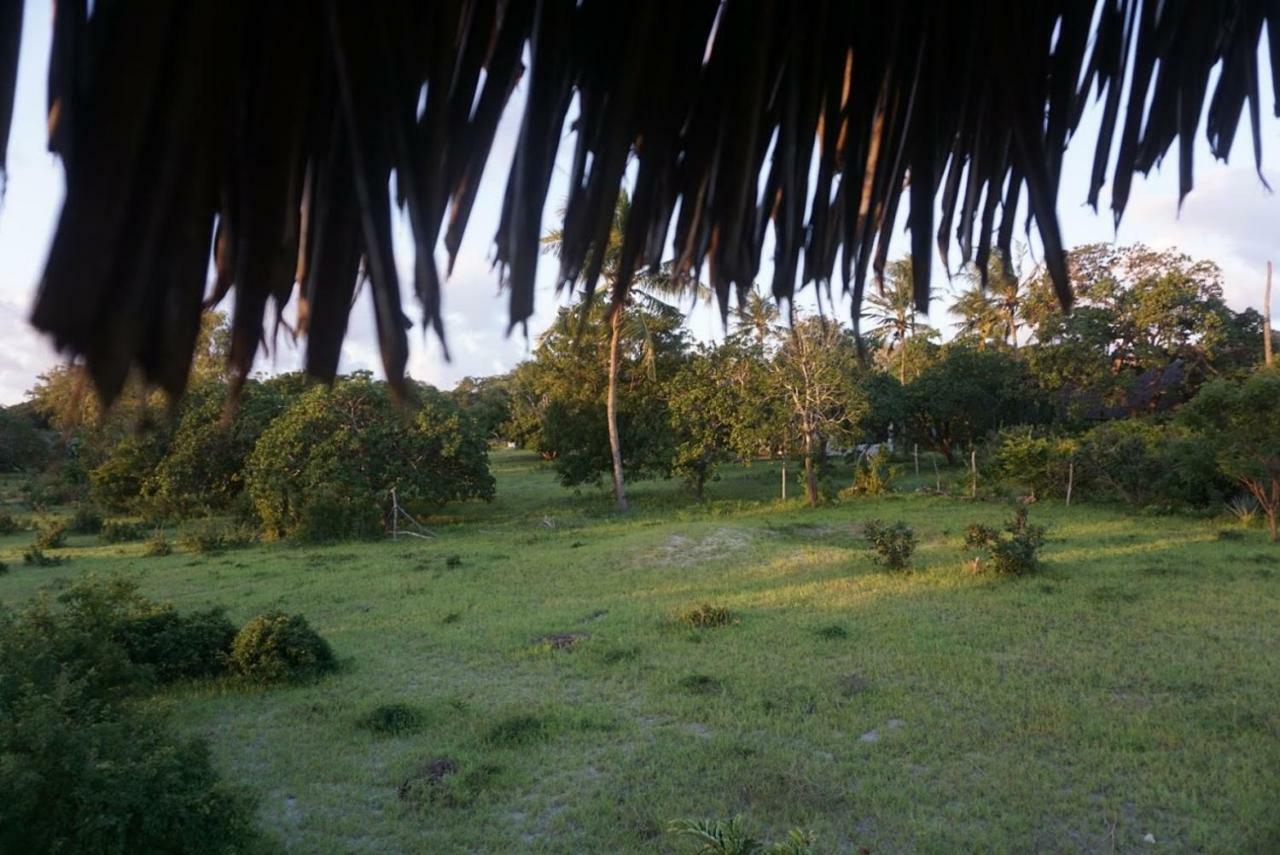 Mida Creek Nature Camp Watamu Exteriör bild