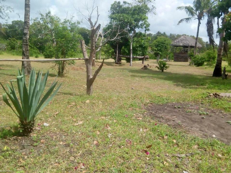 Mida Creek Nature Camp Watamu Exteriör bild