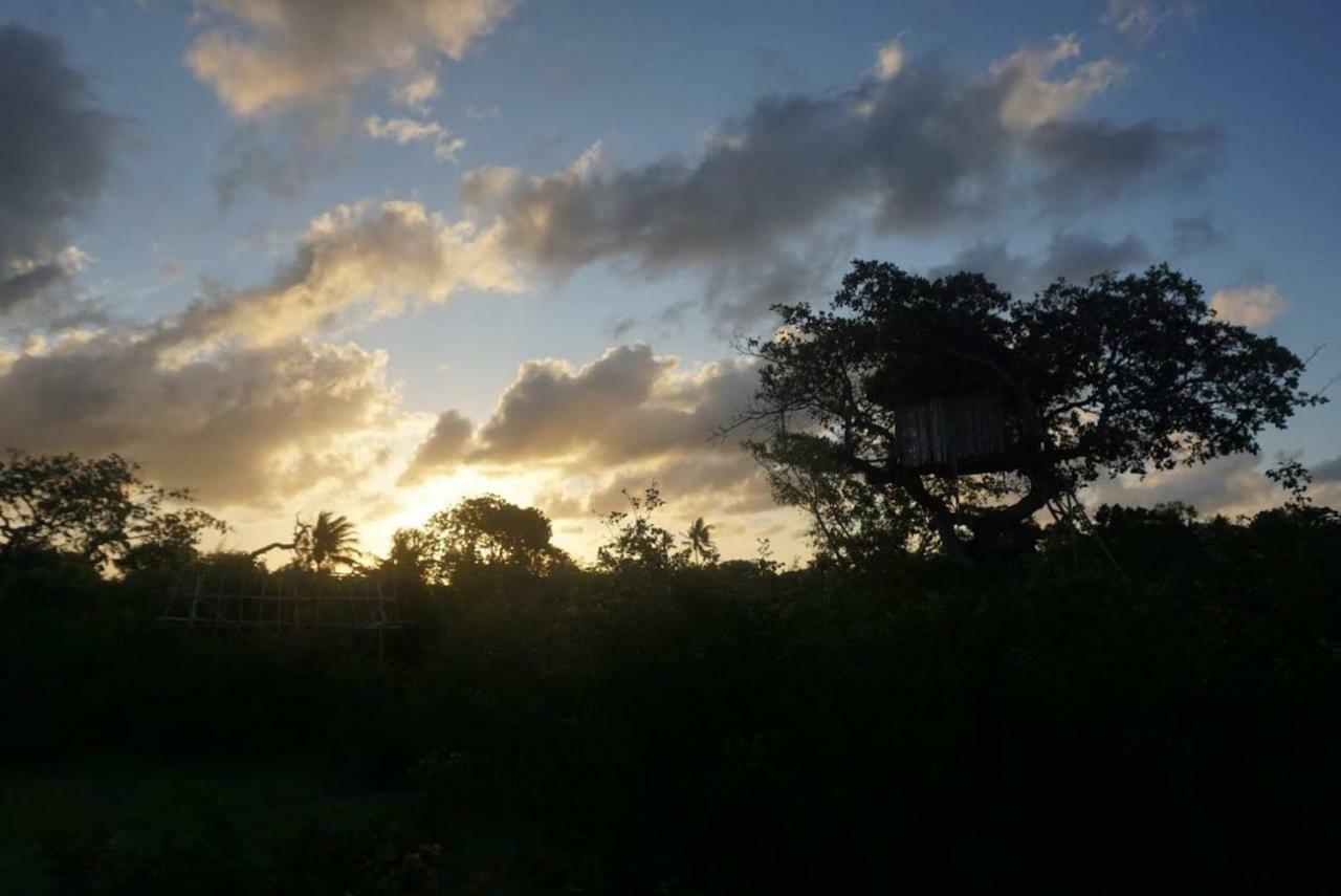 Mida Creek Nature Camp Watamu Exteriör bild
