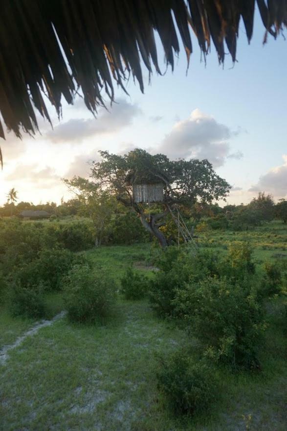 Mida Creek Nature Camp Watamu Exteriör bild