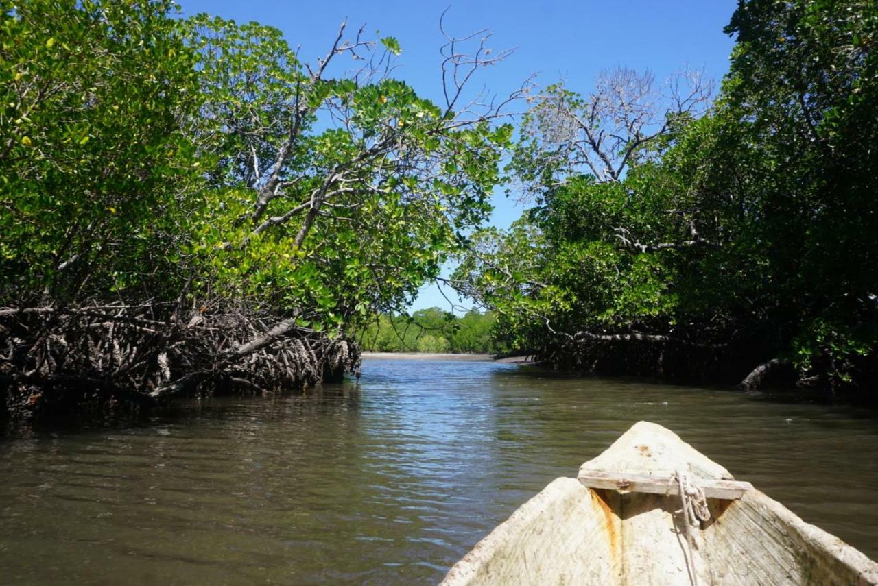 Mida Creek Nature Camp Watamu Exteriör bild