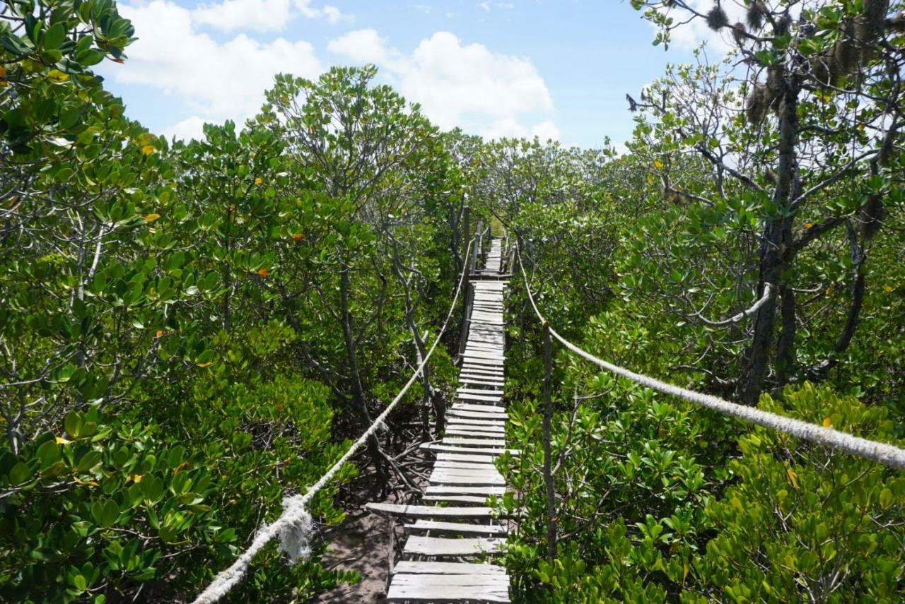 Mida Creek Nature Camp Watamu Exteriör bild