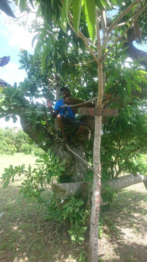 Mida Creek Nature Camp Watamu Exteriör bild