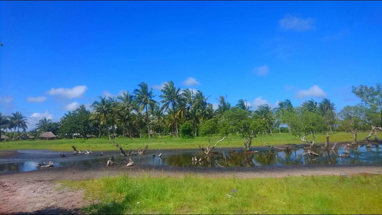 Mida Creek Nature Camp Watamu Exteriör bild